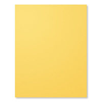 Daffodil Delight